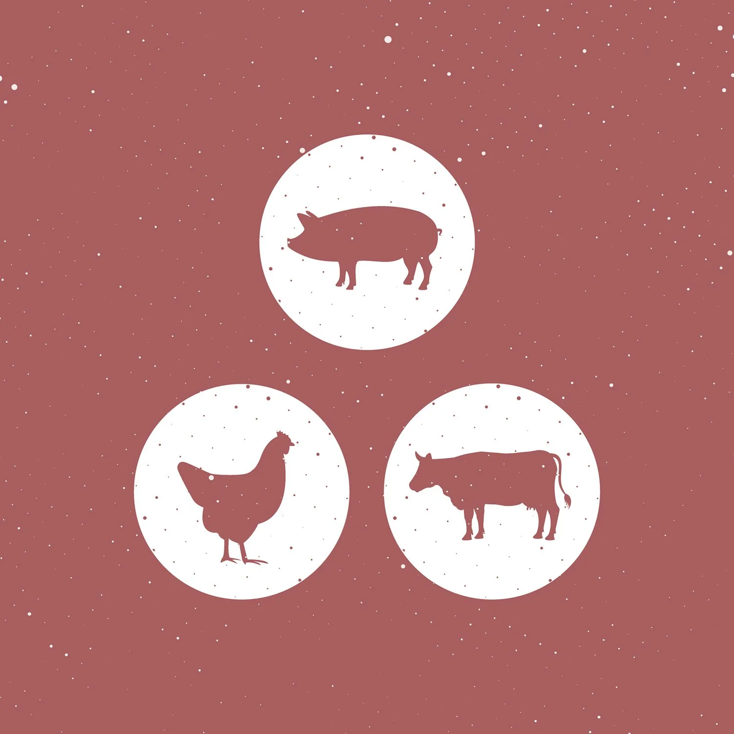 Kinder's Honey Chipotle Seasoning, 10 oz. - Image 6